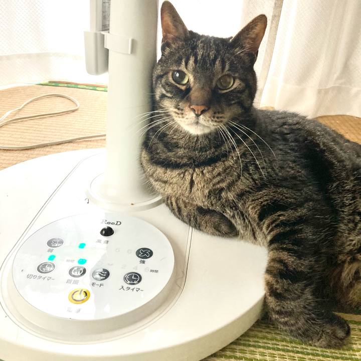 Deaa8f0d 324c 42a1 af08 b21d845bcfd9 1688177291821