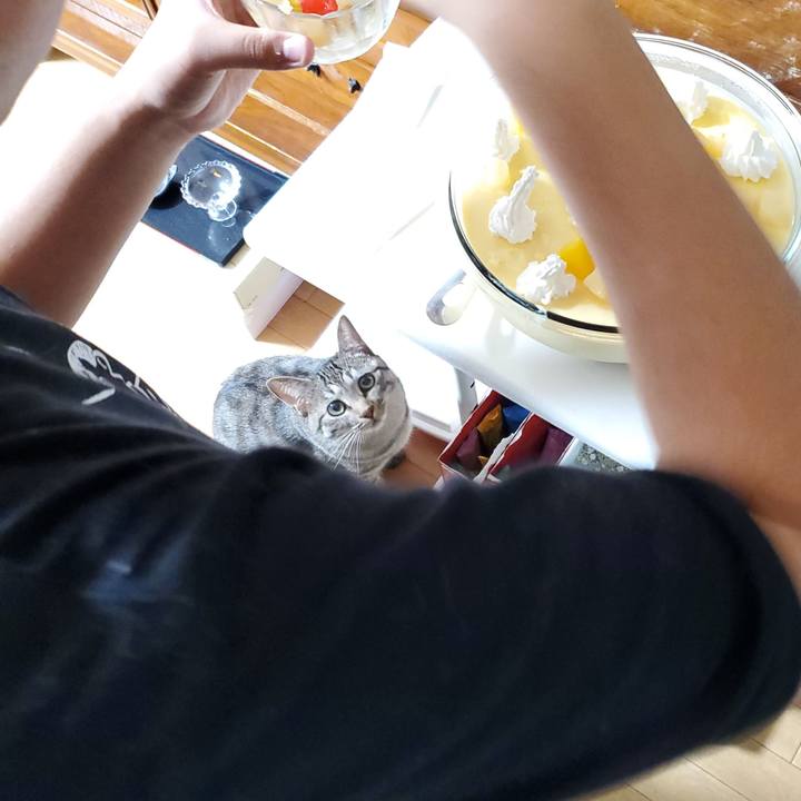 Deaab23c 0492 4196 8bff 91dcc9d88fb9 1696026033188