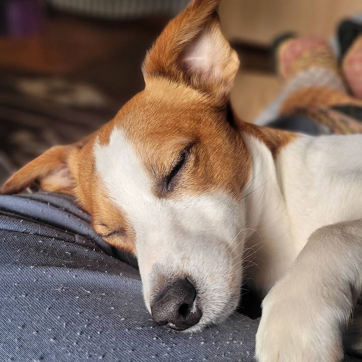 Deaaf47f 6c9a 4cc5 8e3e 7c55ab8a7fa5 1676802558115