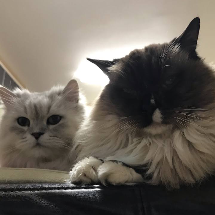 Deab1193 a677 424f b535 094dbd57bcad 1581469887617