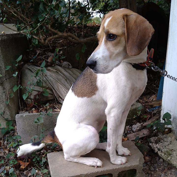 Deab2efd ba9b 4462 bc9b d2e26415eb28 1632559086490