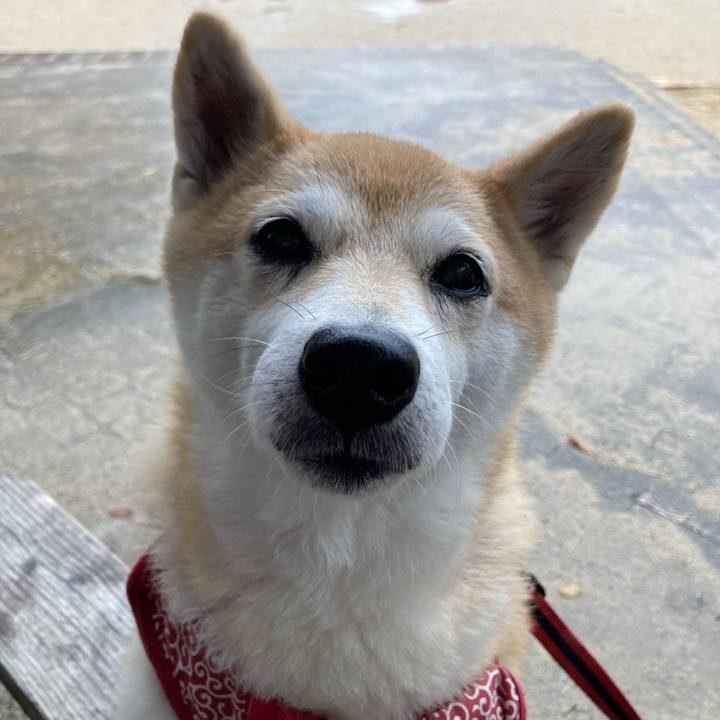 Deab5c8e 4159 4ea2 ab93 970e7a7d1937 1636494515221