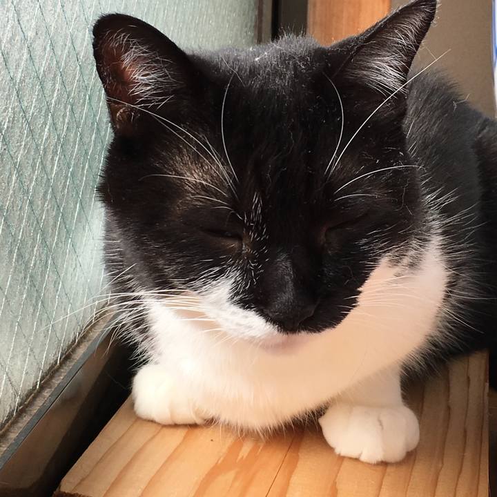 Deab707e 973e 47bf 959b 4290c2436cd1 1510210017286