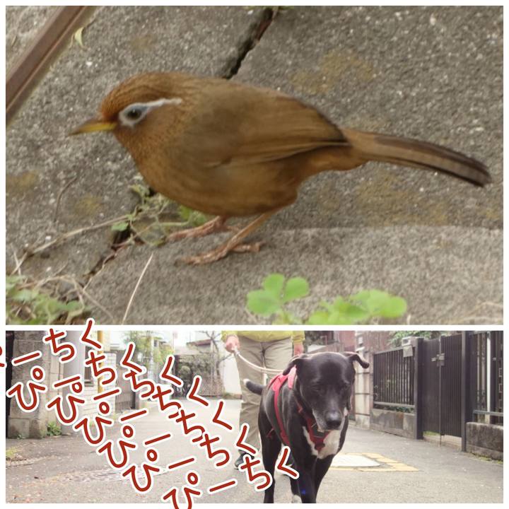 Deab7af5 c8fb 4732 8b16 0aa14b8bdead 1680655596123