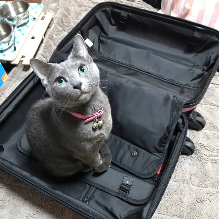 Deab8a87 3c75 4337 aca6 6dce3cdcac51 1551441026596