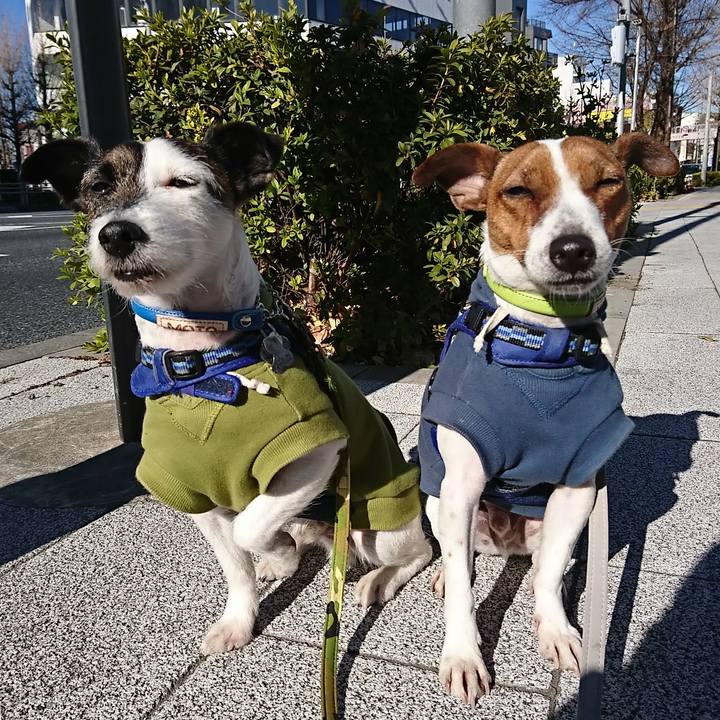 Deabe2f5 5c80 47b2 b3e1 a796b299d4ca 1548552432591