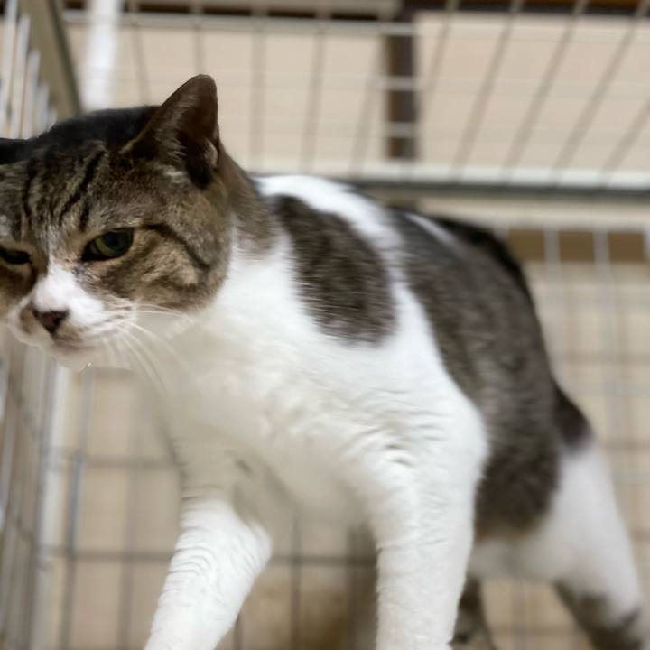 Deabf702 677c 4940 aa35 640618931a5c 1649210792124