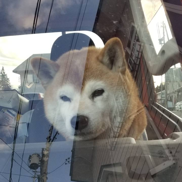 Deac07ae 51f0 46bb b23f e4478502f8cc 1670394829202