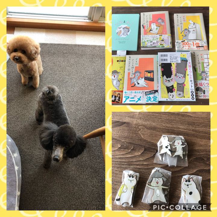 Deac34e5 4c80 4c9e 8b04 67aa200a30cf 1588732527465