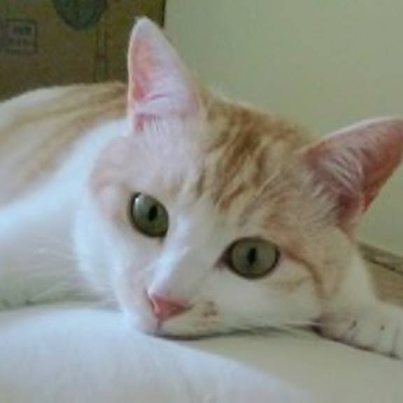 Deac4c8c 39bf 4902 8520 27deeeac1a9e 1565895664321