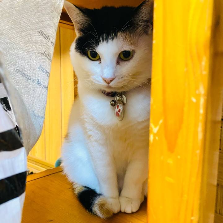 Deac8e58 83ed 4055 934b d64d8b1474b7 1737680605438