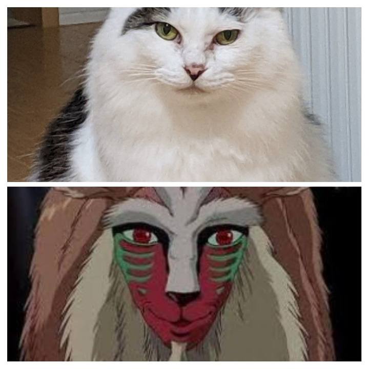 Deacb1fe 16a5 453c b589 8d37b938417a 1554033519653