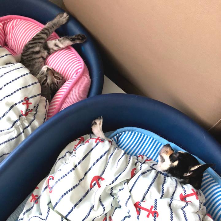 Deacc9c3 ad40 4aa7 8622 c836b826311b 1533549609843