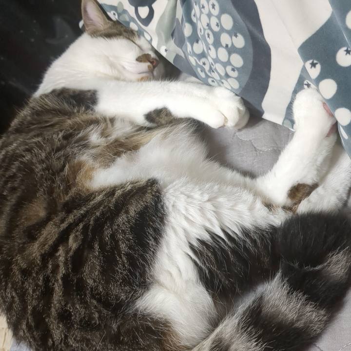 Deacdd37 ce06 44b4 b3e1 d853b33d9185 1756629531538