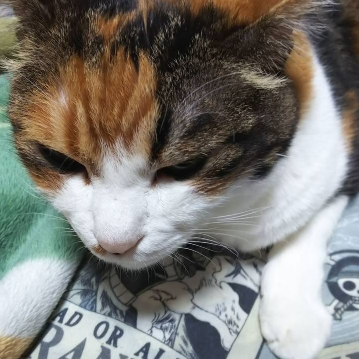 Deace97a 79a6 4a63 b755 7b8449ed1d6c 1571608526381