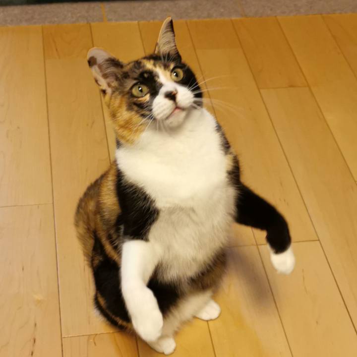 Dead3e7a 2de0 47d9 ab5a 0b94620b3e90 1643775072117