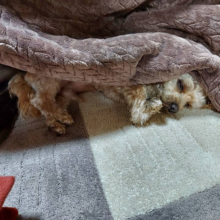 Deade617 1727 49ee b50a 9f1cd5637217 1644501067912