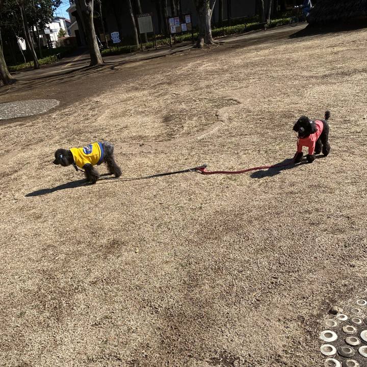 Deadfa5d fb67 43e4 94a1 c7db0b79f4b2 1613455937918