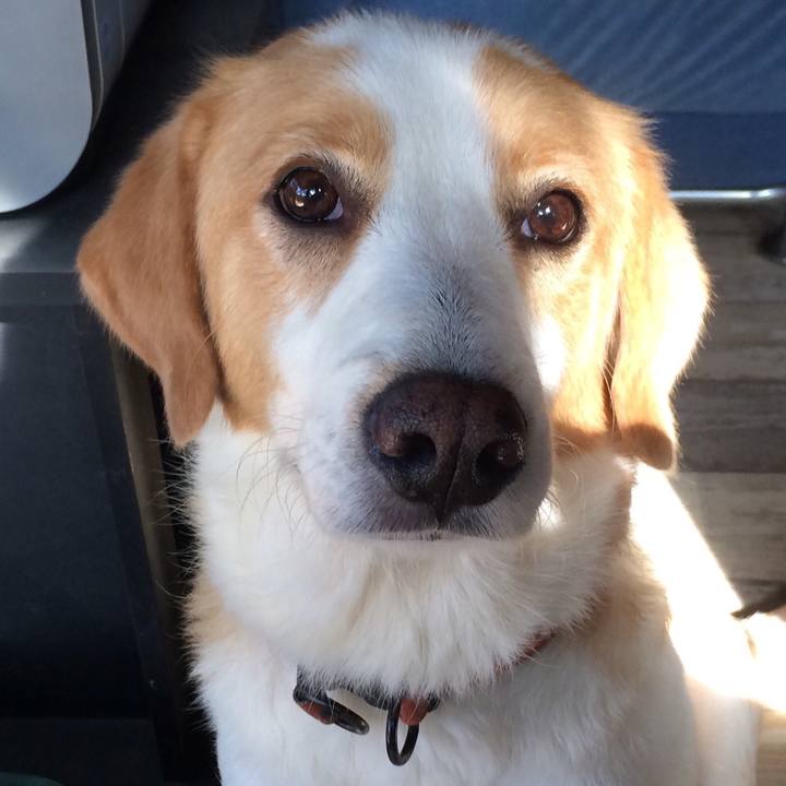 Deae7024 89ee 44f3 a277 a4a61e86367a 1509712014784