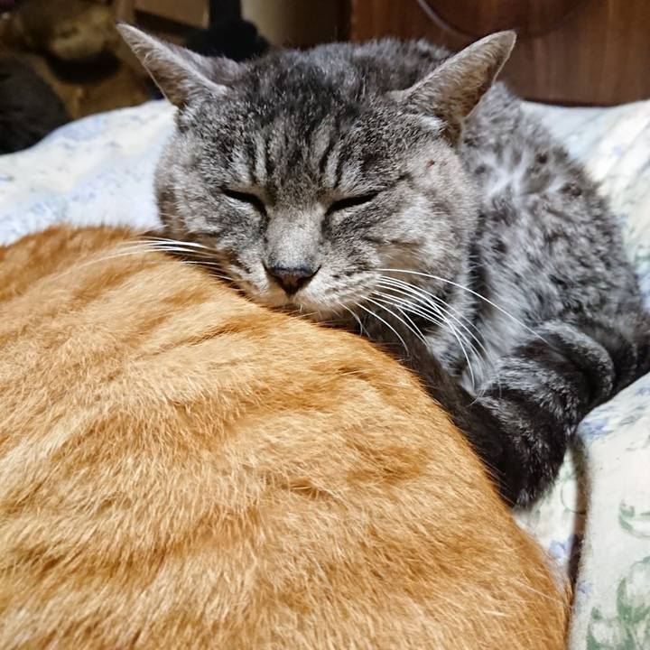 Deae7329 f15f 4b64 a2ca c8139d3772db 1576843797650