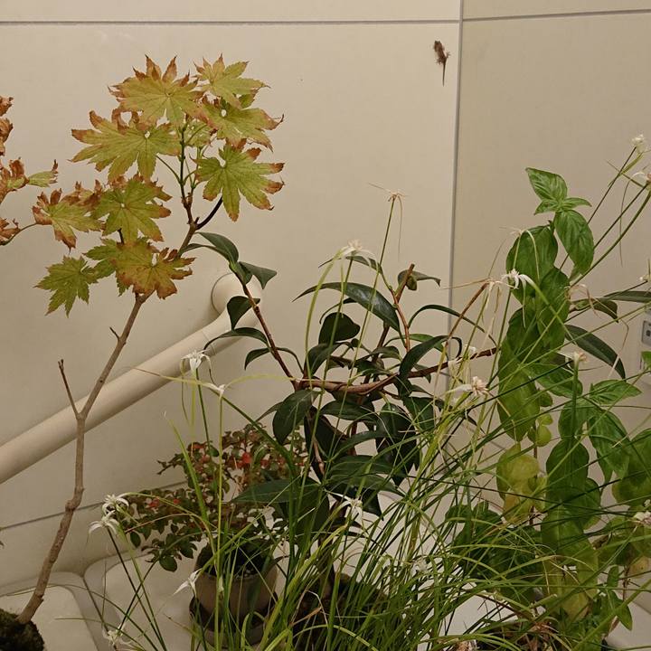 Deae78cc e867 43e1 a8b6 5e01bcf25c3f 1570795724998