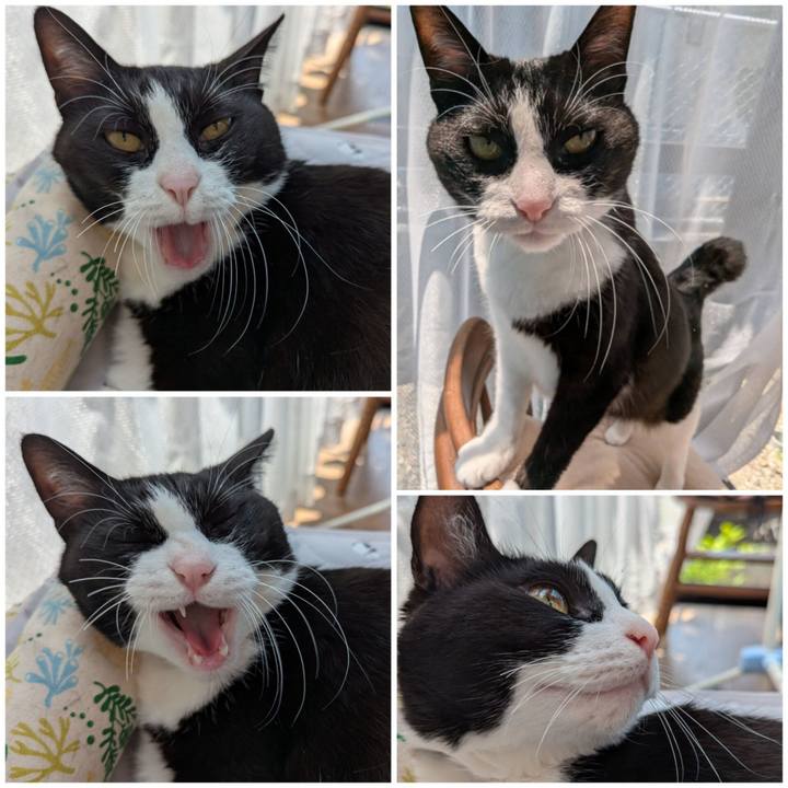 Deae7e4f fd11 4c7a be8d 2af4c3a1e080 1748757356979