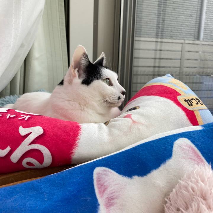 Deae9ebd 11b0 4786 b99b 332fa60d82cb 1770336316058