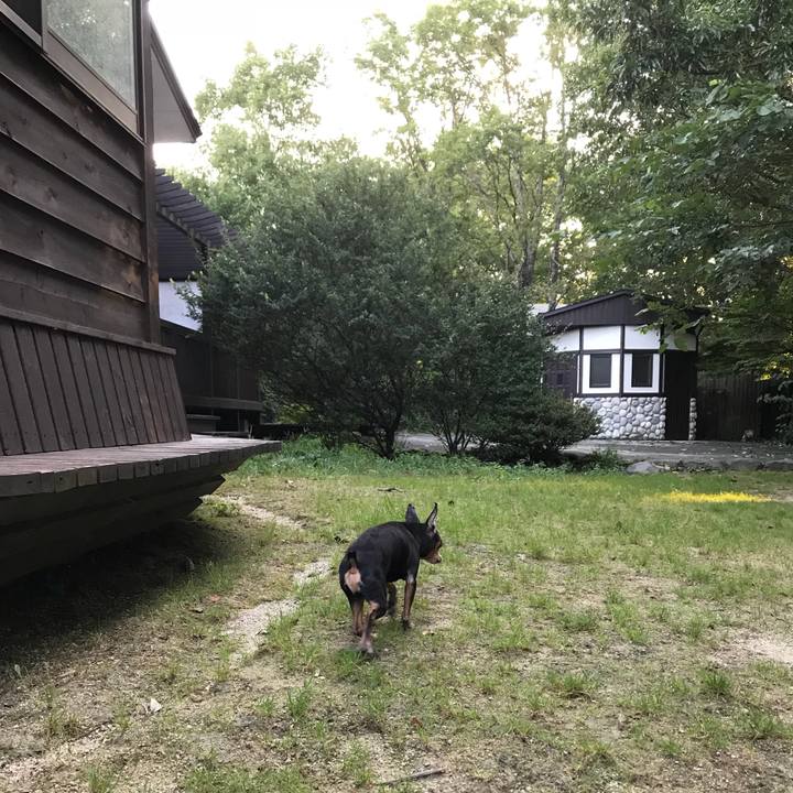 Deaeac96 1398 445e 99a3 790b876b728f 1534666008155