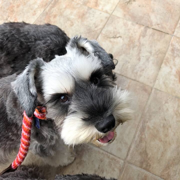 Deaec846 0f7c 4feb aaf8 3b8b379e4eec 1540610999783