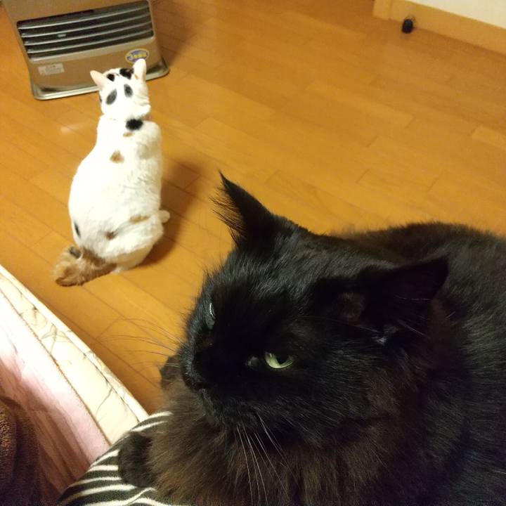 Deaee30b fbc8 495d a0e3 a42124fbb0da 1579444224994