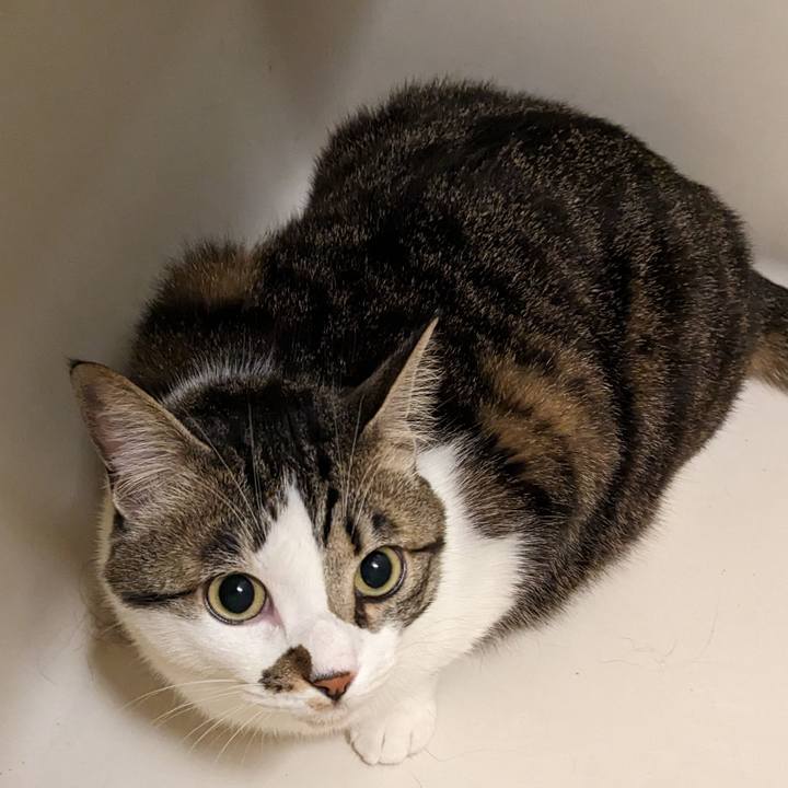 Deaf1546 70da 49ef a4ce 74b598d3bea3 1680613017487