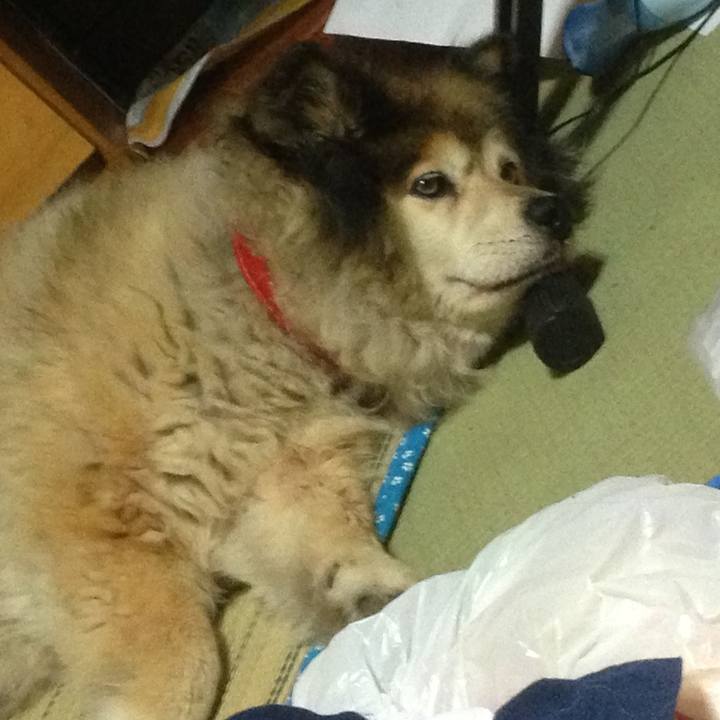 Deaf158d a7c3 4bf9 bfee d861a0080266 1565060647082