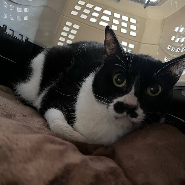 Deaf361c bdd8 4e64 af0e 2cd8f5498451 1651454810685