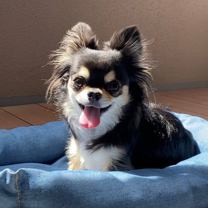 Deaf407f 823c 4690 9d92 1521fb249f4b 1616201676288