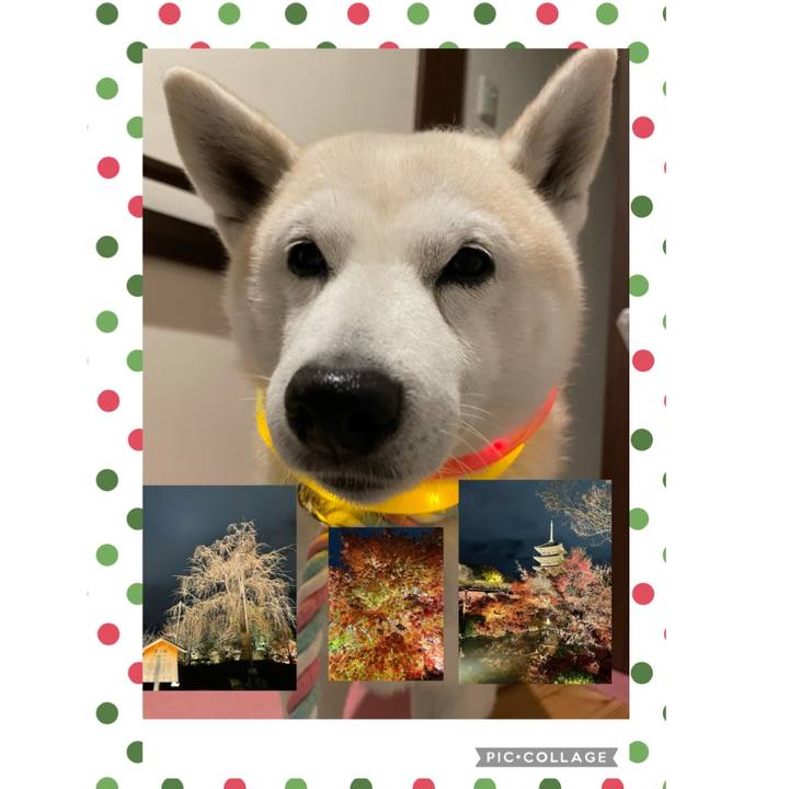 Deaf52ab b15d 47c5 9c4e 41c035ffb2d0 1639026460736