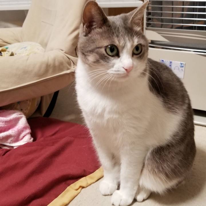 Deaf7101 c655 45e1 9844 d2ae15754521 1547624090591