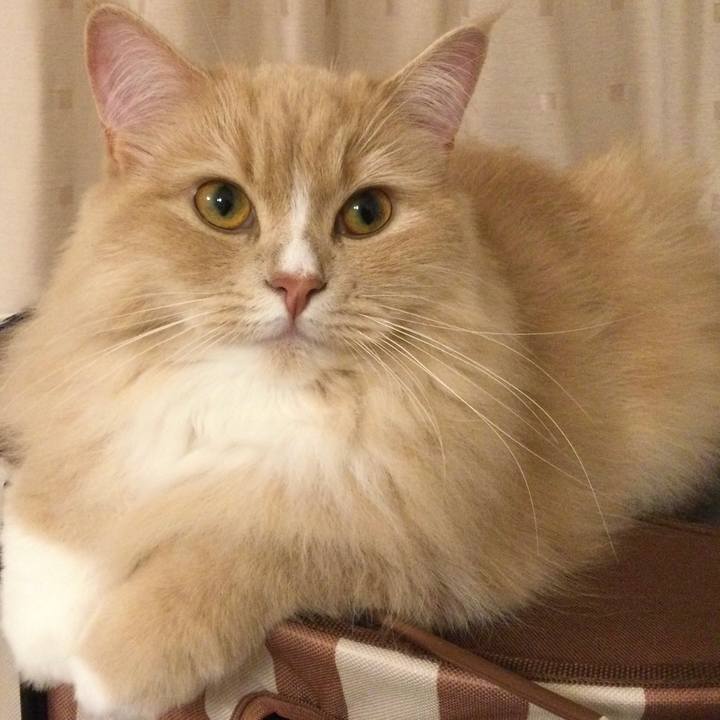 Deaf8010 6042 476e a522 f1c2b83ea53b 1621340979209