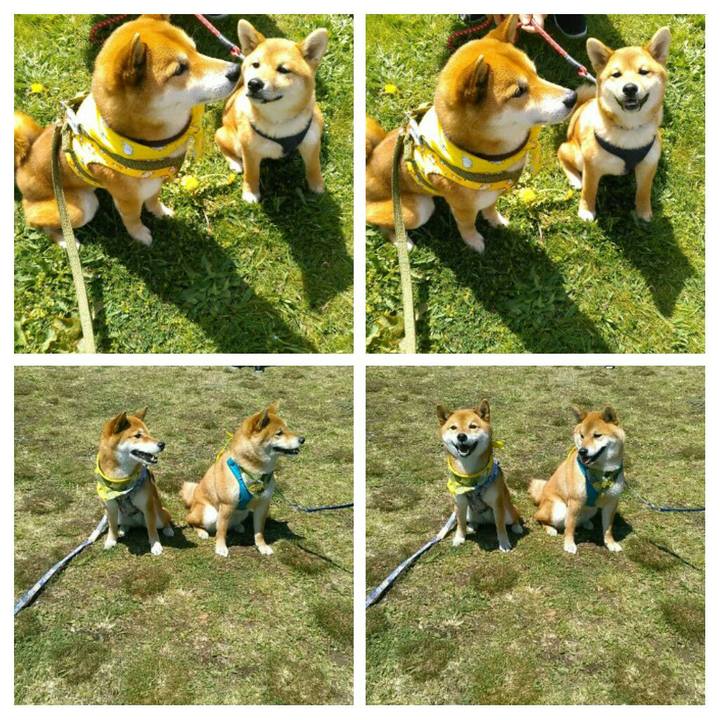 Deaf81b8 f405 4b48 818b 57d5f72395a8 1555168348359