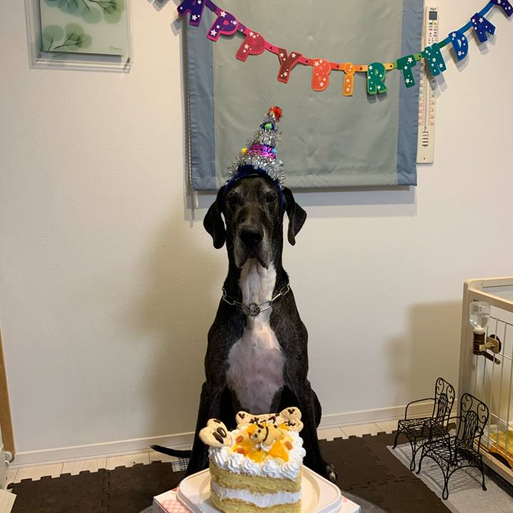 Deafd56f 3e1b 4e58 9d2c 556989661cef 1573303253010