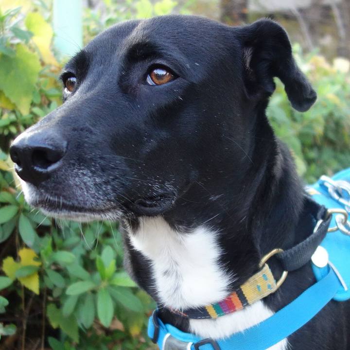 Deafe6fd 7520 4342 95c7 726417fd6414 1606438196343