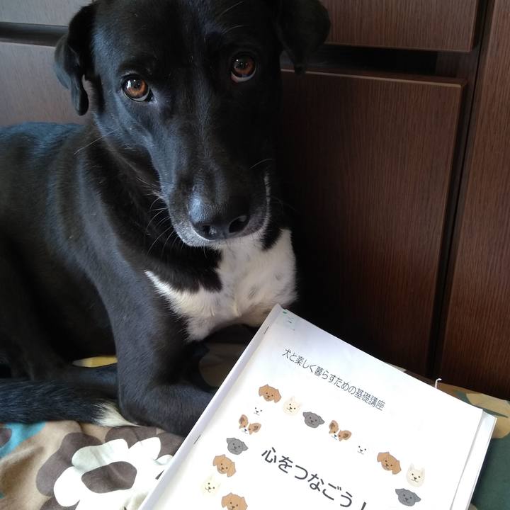 Deaff103 ffb2 4f92 bf63 435617b3404b 1603354885045