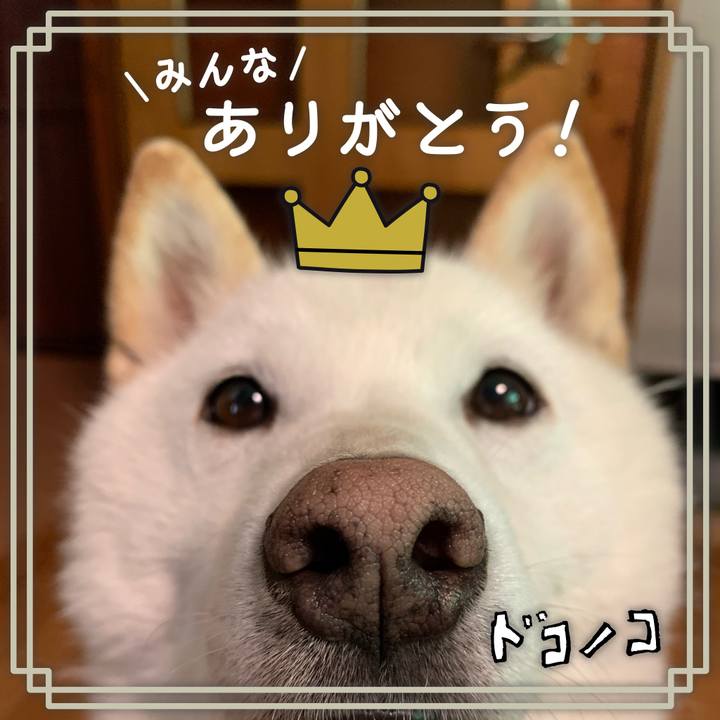 Deb00834 1f5d 4060 91ac 7f0e0b49d92d 1622930798905