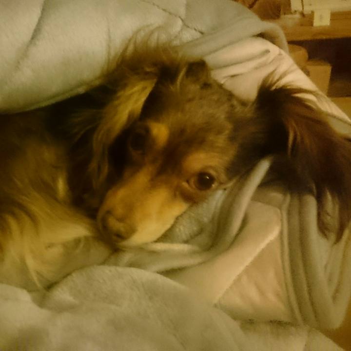 Deb01c9f 1dfb 42f6 93e0 6a91b1ca5c60 1520942645874