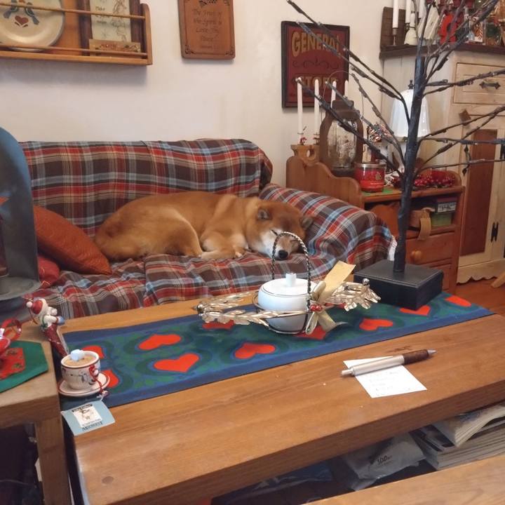 Deb02341 5de6 4f28 9686 e8debf287a61 1769342946545