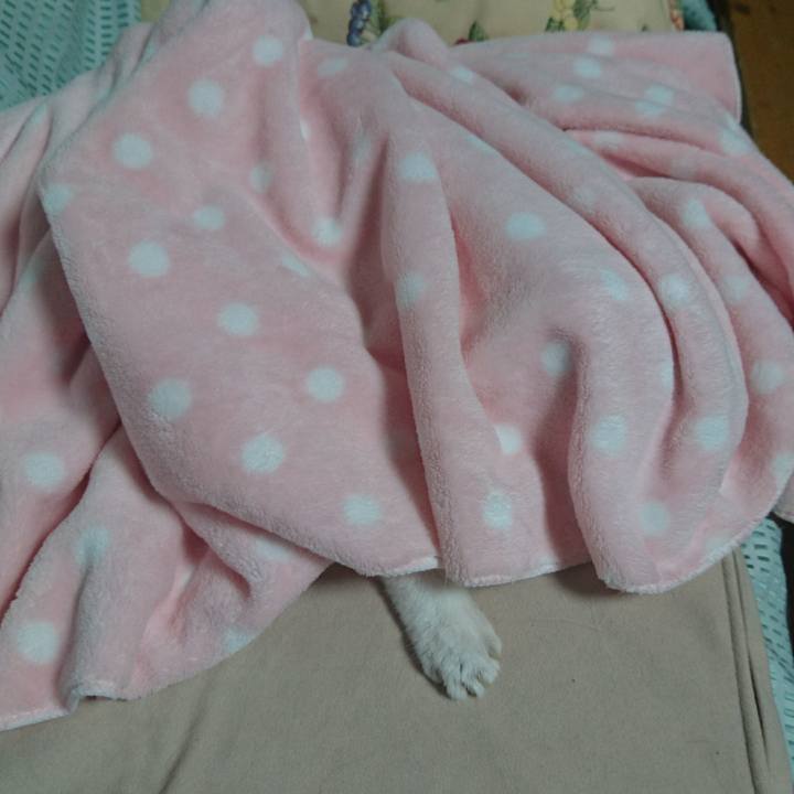 Deb03f02 7e27 487d bee6 bfececb6ee62 1534417766469