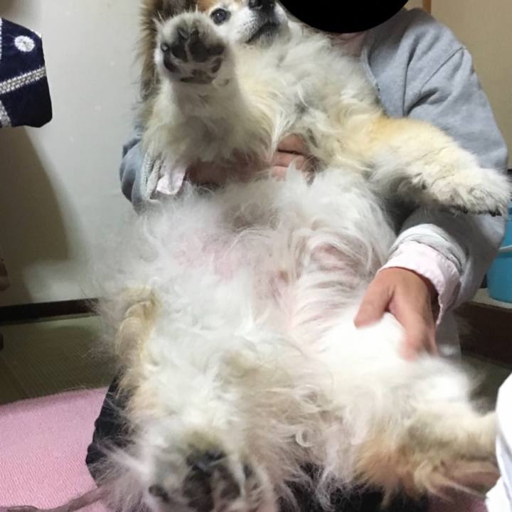 Deb081ae 4e61 4a4f 9c4f 2e24350cd3fb 1616302506011