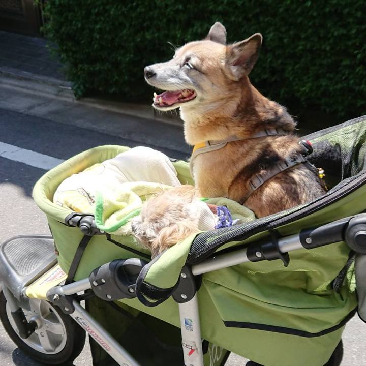 Deb09c0a b40e 4643 a695 5532f20cb541 1556977660541