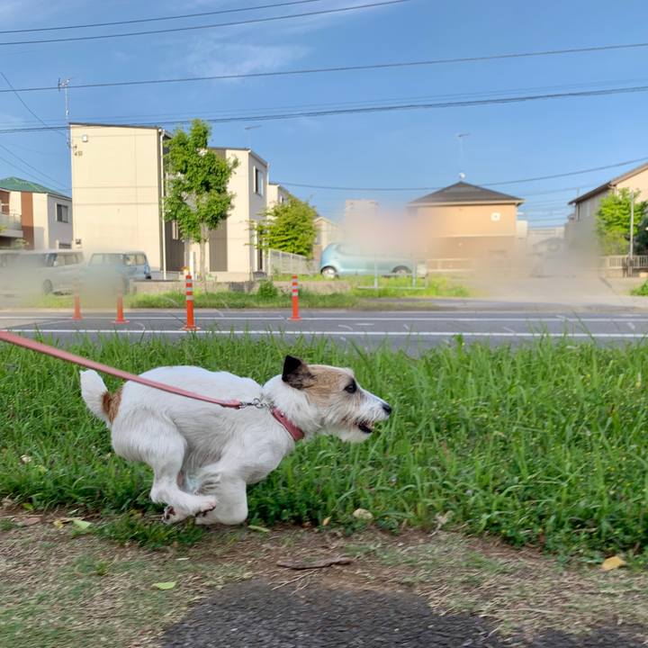 Deb09dc0 9bef 468a b4d8 54da6ff47d46 1683323237600