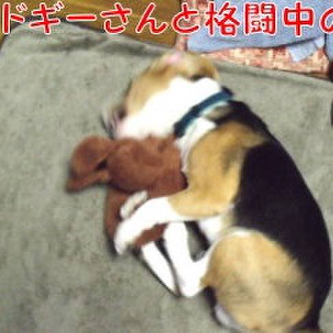 Deb0fb21 7169 478e 9a92 a8c6ec14d664 1688431580626