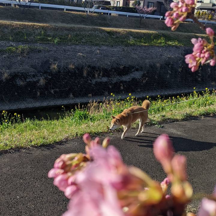 Deb11068 c144 4d62 b991 a4d2ccff577b 1741339373894